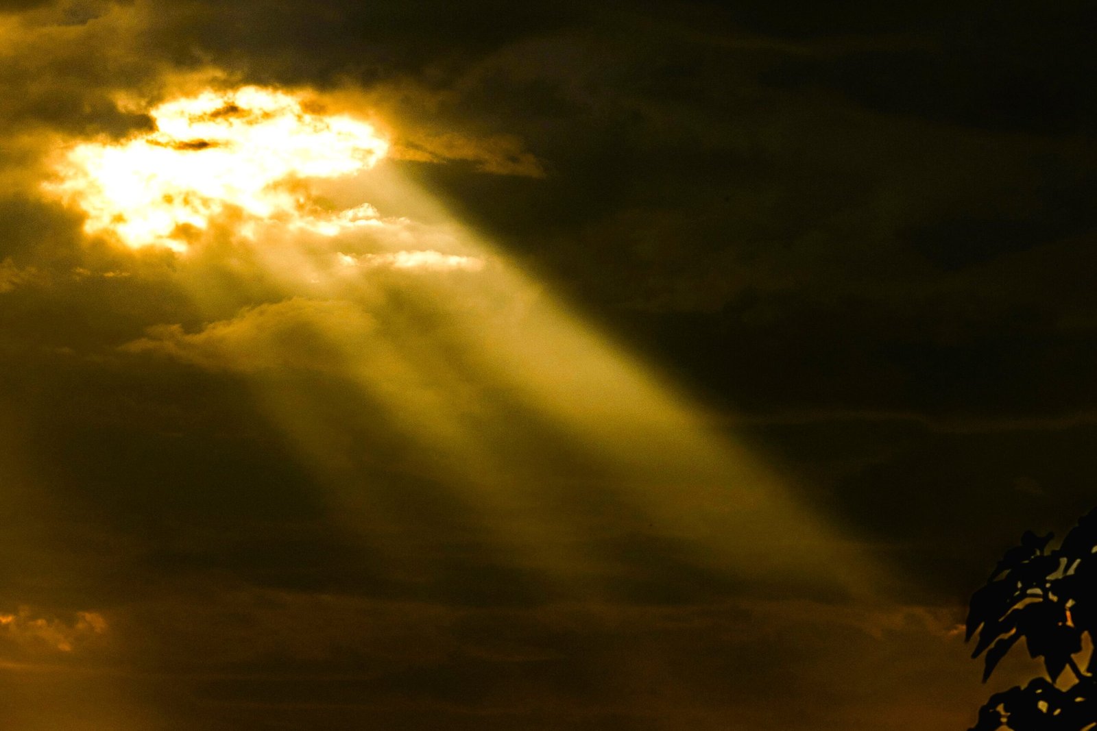 10 Pesan Imam Al-Ghazali Agar Pemimpin Selamat Dunia Akhirat