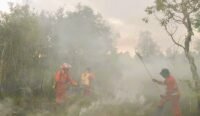 Peralihan Musim, Kalsel Akhiri Status Siaga Darurat Karhutla