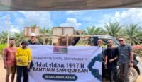 Julong Group Kalsel Salurkan 19 Sapi Qurban Kepada Masyarakat