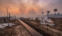 Kalimantan Dikepung 9.853 Titik Panas Menjelang El Nino, Perlindungan Gambut Dinilai Gagal