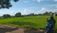 Kawasan Lahan Pertanian dalam Aero City Banjarbaru Terjepit Perumahan