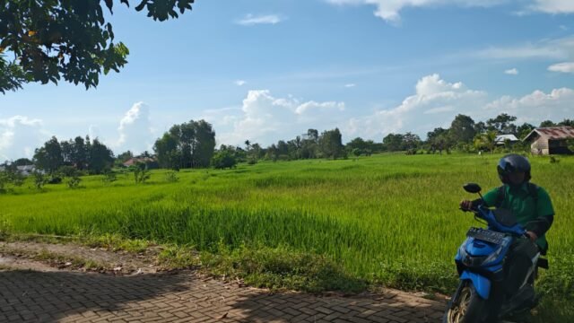 Kawasan Lahan Pertanian dalam Aero City Banjarbaru Terjepit Perumahan