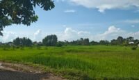 Kota Banjarbaru Hanya Punya 500 Hektare Lahan Pertanian Potensial, Tanpa Perlindungan Hukum
