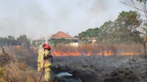 Karhutla Kalsel Capai 2.332 Kejadian, 12 Ribu Hektare Lahan Hangus Terbakar
