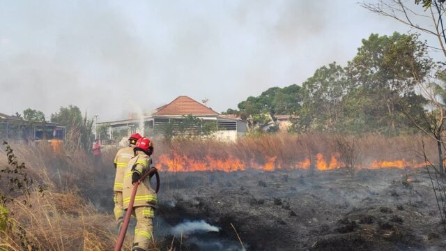 Karhutla Kalsel Capai 2.332 Kejadian, 12 Ribu Hektare Lahan Hangus Terbakar
